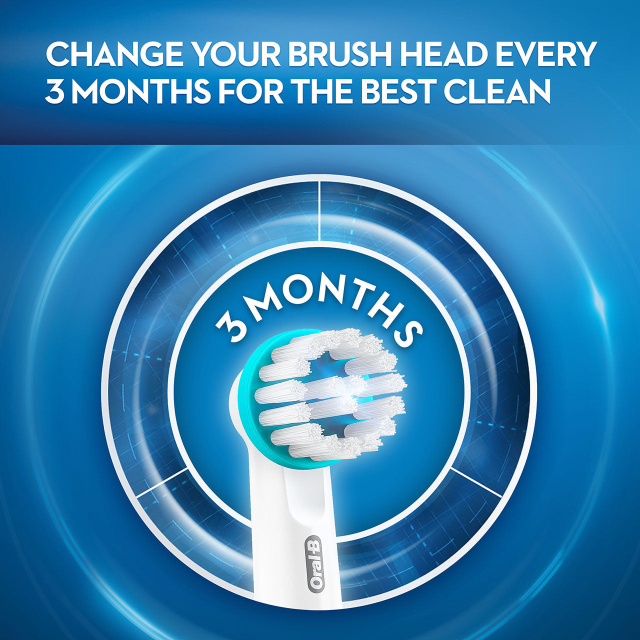 White Oral-B Ortho Brush Head Bundle Others Brush Heads